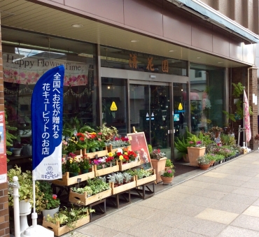 静岡県三島市の花屋 清花園にフラワーギフトはお任せください 当店は 安心と信頼の花キューピット加盟店です 花キューピットタウン